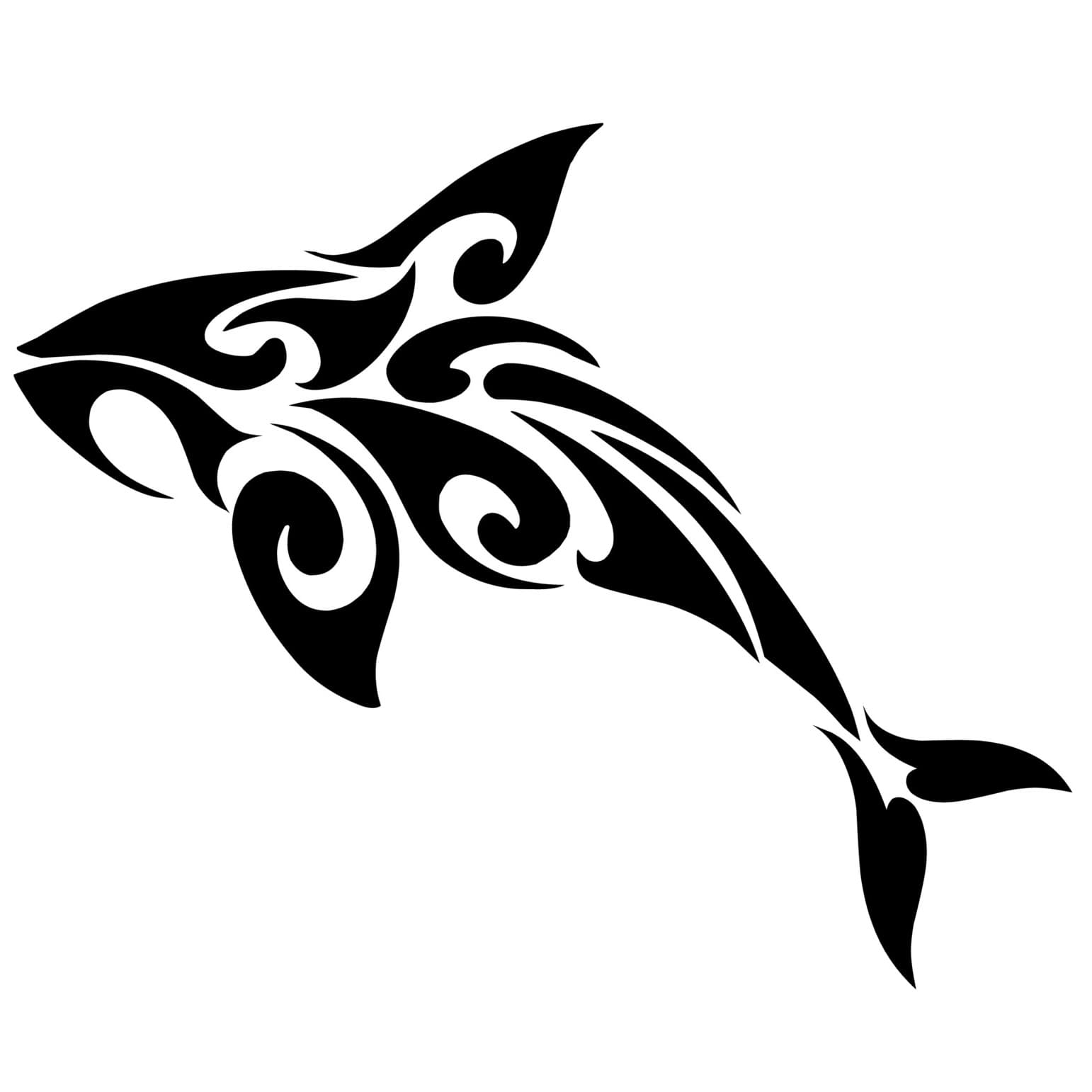 Orca - Symbol of community and wisdom